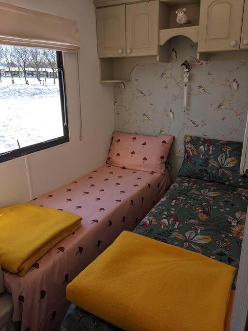 Ferny Roost Cabin. 雷克瑟姆 外观 照片